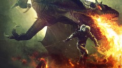 Games PC Dragons pc games the witcher the witcher 2 assassins 