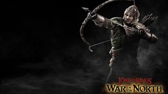 Games PC elves Warriors pc games archery mage dwarfs the lord 