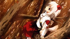 Games woman weapons white hair Swords anime girls touhou animal 
