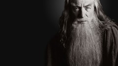 Gandalf Wizards Ian McKellen the lord of the rings Stormcrow 