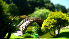 Garden Bridges tilt-shift