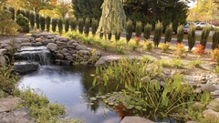 Garden brook creek water