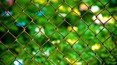 Garden Chain Link Fence