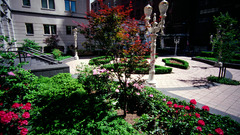 Garden court yard high side West upper Resolution