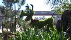 Garden goofy gardening