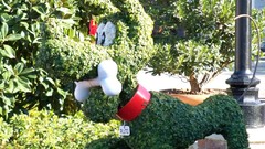 Garden goofy gardening