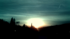 Garden itt very nice