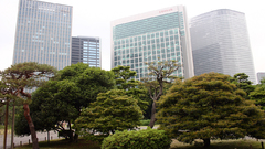 Garden Japan City town