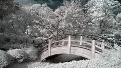 Garden Japanese infrared