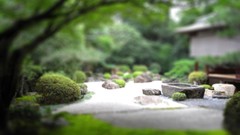 Garden Japanese tilt-shift