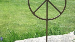 Garden peace sign high