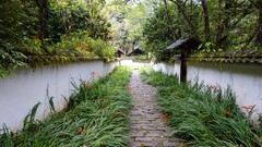 Garden Plants water outdoors