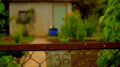 Garden rust Poland HDR Photography Wrocław