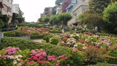 Garden San Francisco architecture buildings streets