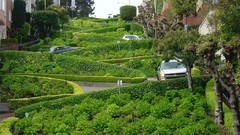 Garden San Francisco architecture buildings streets cityscapes