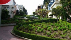 Garden San Francisco architecture buildings streets cityscapes