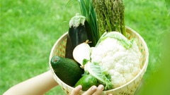 Gardengirls hr has many