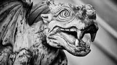 Gargoyle