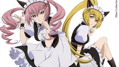 Gate anime girls maids steins gate shiina mayuri Akiha Rumiho