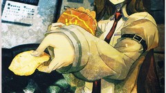 Gate Anime huke makise kurisu steins gate artwork