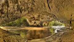 Gate New Zealand arch national park