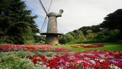 Gate windmills California San Francisco north Parks golden 