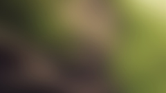 Gaussian blur backgrounds