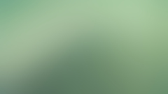 Gaussian blur Simple Background