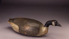 Geese Don have penises