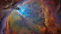 General Celebrity universwanne have