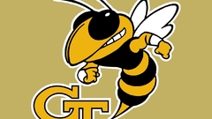 Georgia Tech yellow jackets