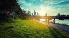 Germany Bridges urban rivers frankfurt