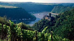 Germany Castles Rhine valley