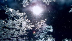 Germany meissen albrechtsburg elbe