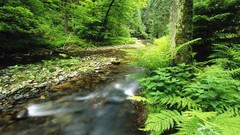 Germany national park