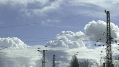 Germany power lines World