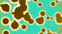 Germobes diy You Made