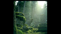 Gfgfgf More like This