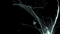 Gfxcity blogspot com have