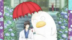 Gintama Anime