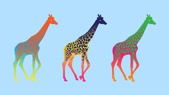 Giraffes multicolor pop art minimalistic