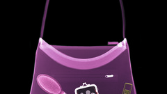 Girl Ray woman purse