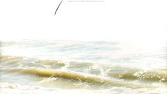 Girls generation snsd Celebrity