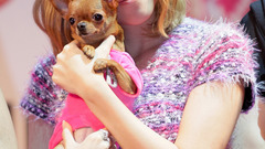 Girls Generation SNSD Jessica