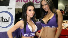 Girls with cars pitgirls