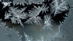 Glass frost ice crystals