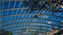 Glass House buildings