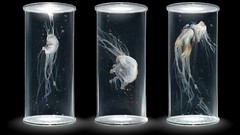 Glass jars nude fantasy art