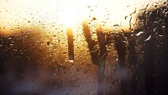 Glass wet condensation