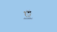 Glasses blue background funny sunglasses chinchilla minimalistic